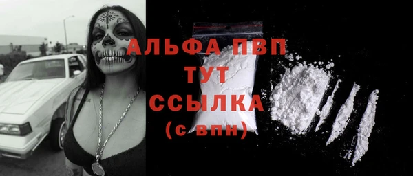 мет Касимов
