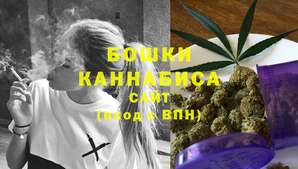мет Касимов