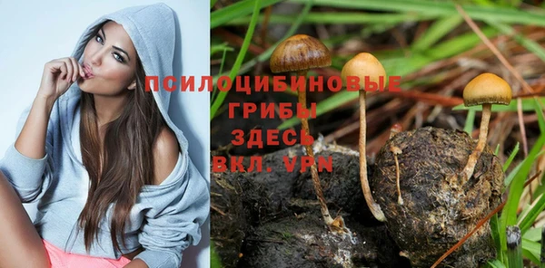 ешки Карпинск