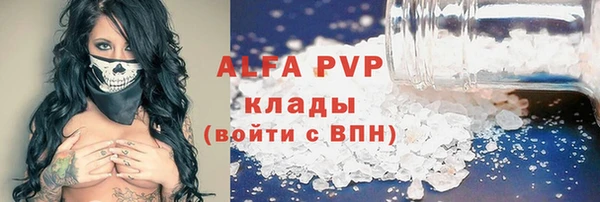 мет Касимов