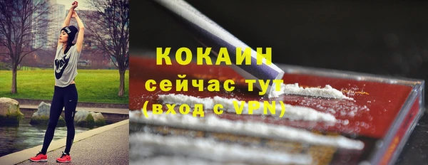 мет Касимов