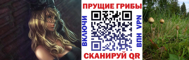 Купить закладки  Бокситогорск  Галлюциногенные грибы GOLDEN TEACHER 